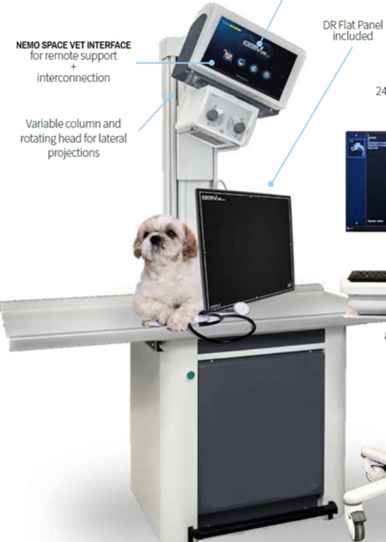 IMG-20250415-WA0000 IMG-20250415-WA0000